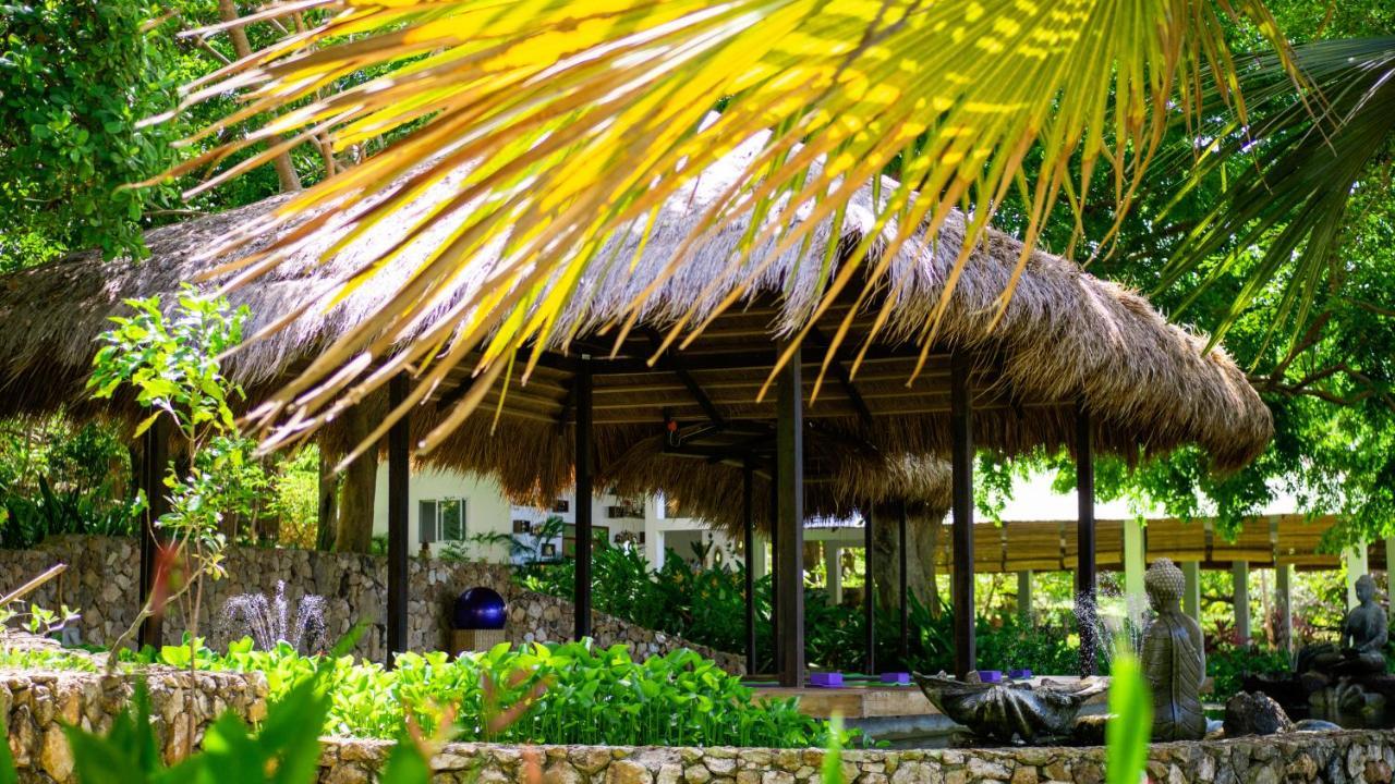 The Dream Beach Resort Taytay (Palawan) Exterior foto